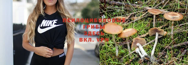 MDMA Premium VHQ Арсеньев