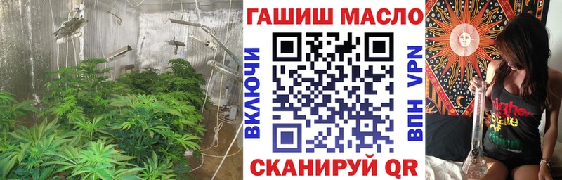 Дистиллят ТГК THC oil  где купить наркотик  Щёлково 